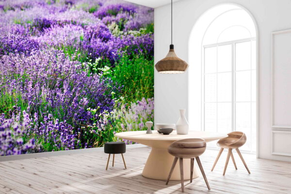 Feld mit violetten Blumen Feld mit violetten Blumen