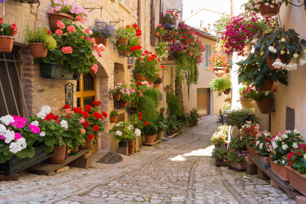 Straße mit Blumen am Rande Straße mit Blumen am Rande