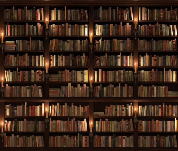 Großes Bücherregal voller Bücher Großes Bücherregal voller Bücher