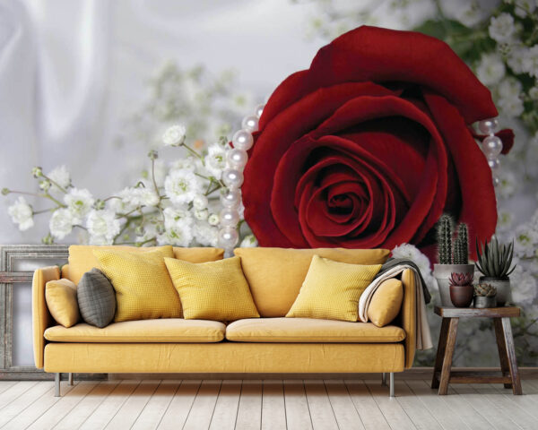 Rote Rose und weiße Blumen Rote Rose und weiße Blumen
