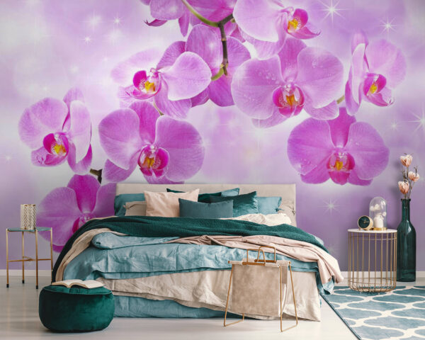 Zarte Orchideen in sanften Farbtönen Zarte Orchideen in sanften Farbtönen