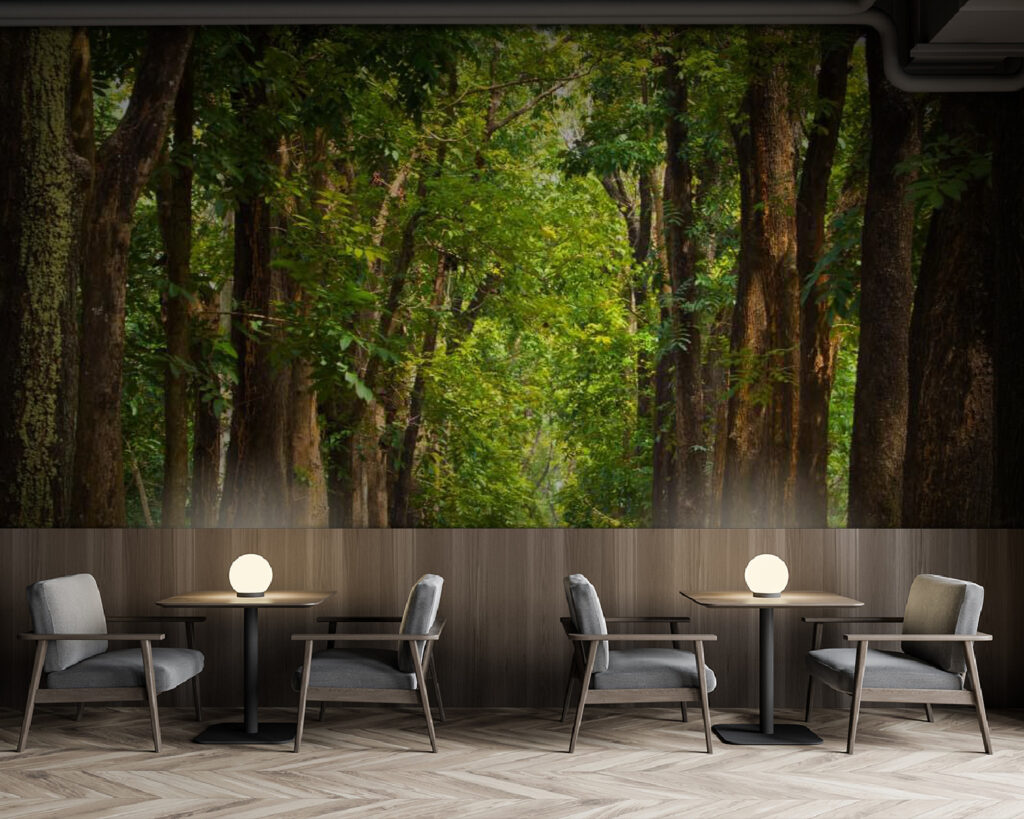 u55418piz137m 1024x819 - Weg mit Bäumen an der Seite - tegory