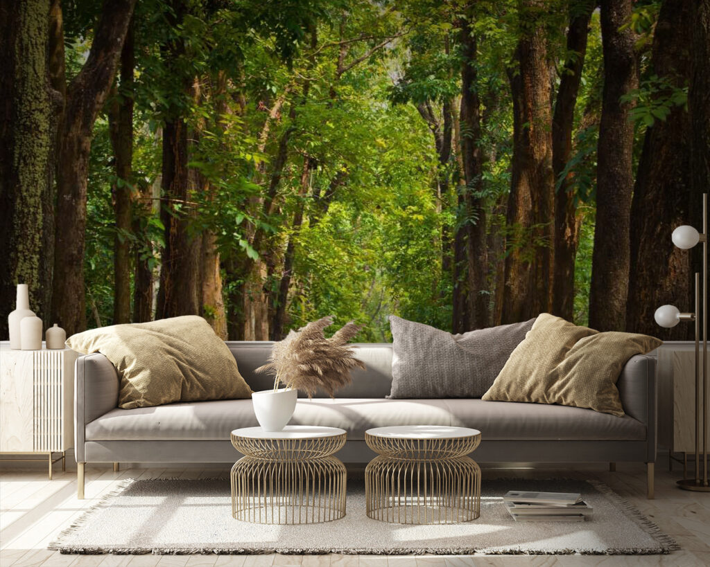 u55418pig9 1024x819 - Weg mit Bäumen an der Seite - tegory