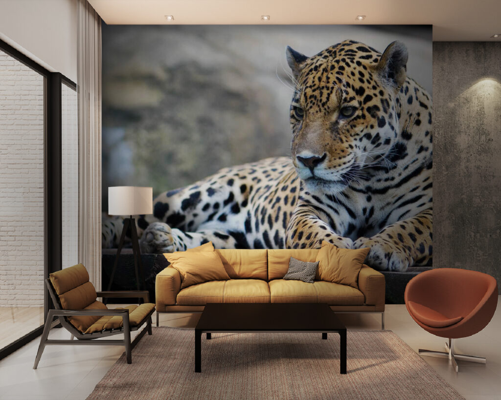 Leopard liegend auf einer Holzoberfläche u55313pig28m 1024x819 - Leopard liegend auf einer Holzoberfläche - tegory