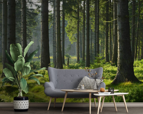 Wald mit hohen Bäumen und Gras Wald mit hohen Bäumen und Gras