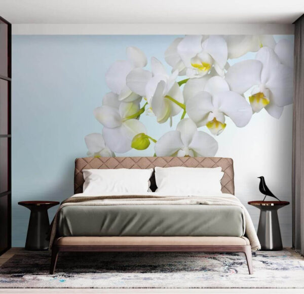 Weiße Orchideen über Wasser Weiße Orchideen über Wasser