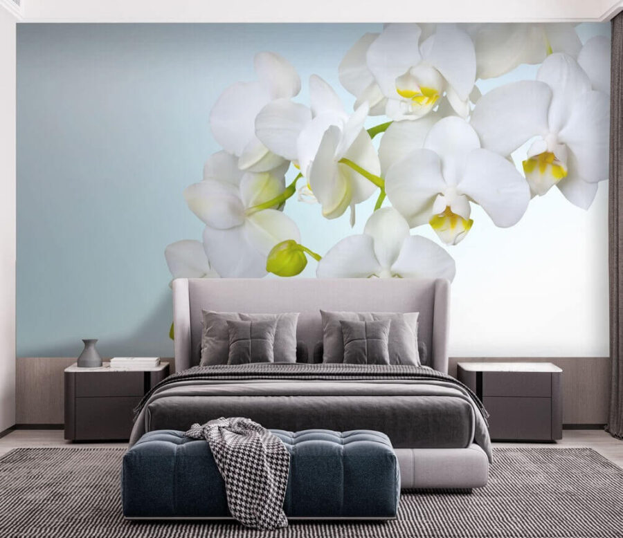 Weiße Orchideen über Wasser