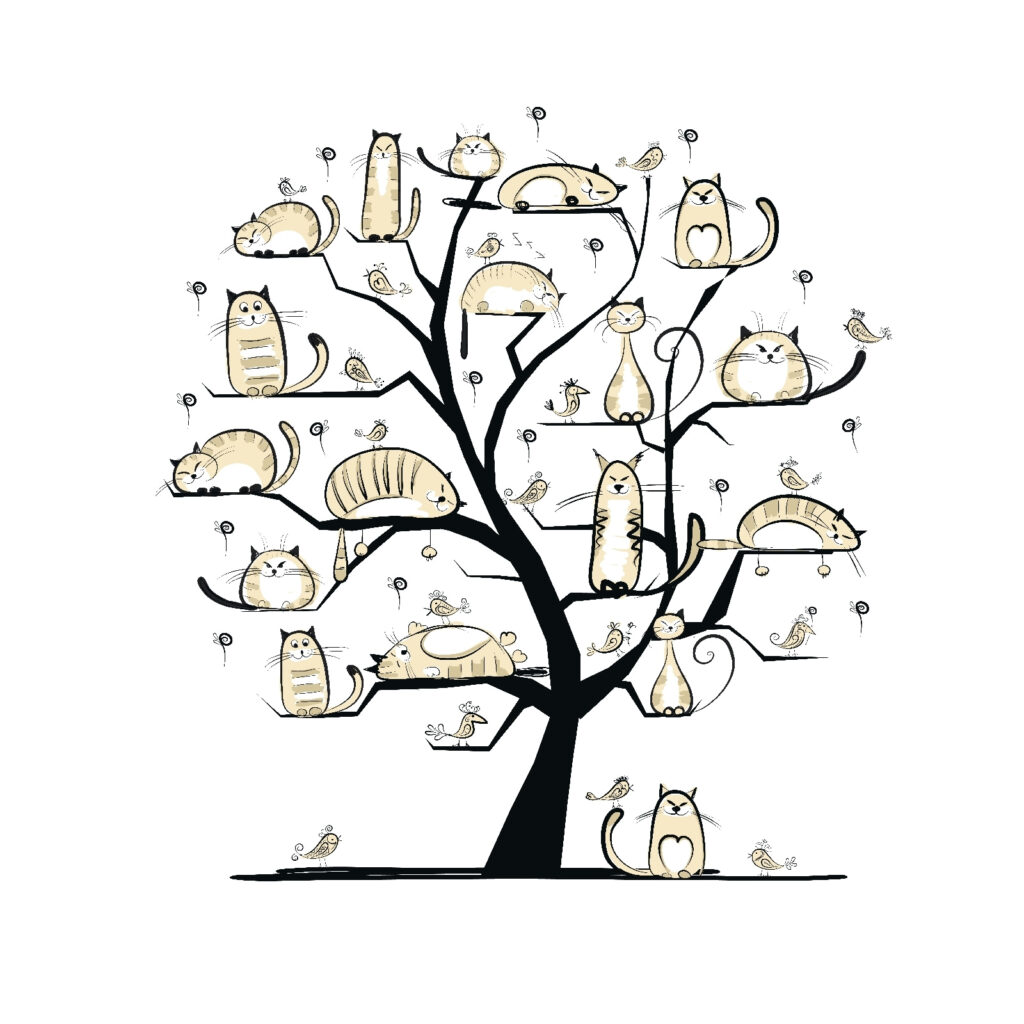 Baum mit Katzen darauf Baum mit Katzen darauf