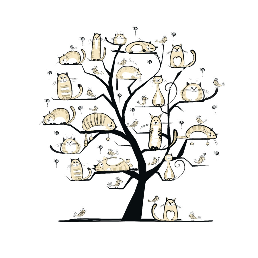 Baum mit Katzen darauf Baum mit Katzen darauf