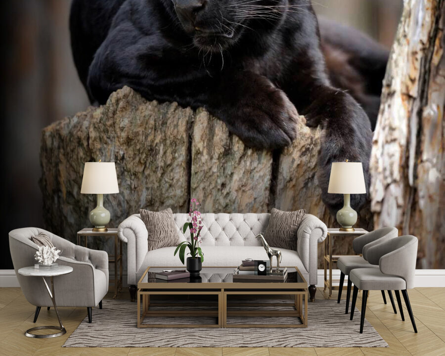Schwarzer Panther auf einem Baumstumpf liegend