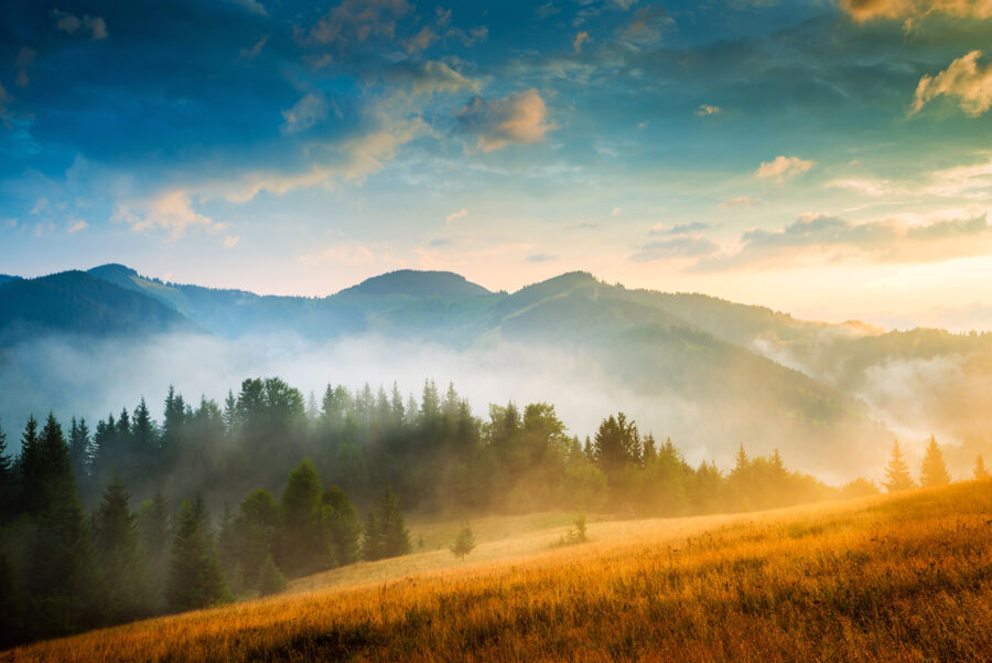 Fototapeten Landschaft mit Bäumen und Bergen – Bild 5