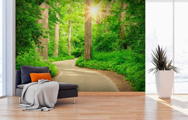 Straße durch einen Wald Straße durch einen Wald