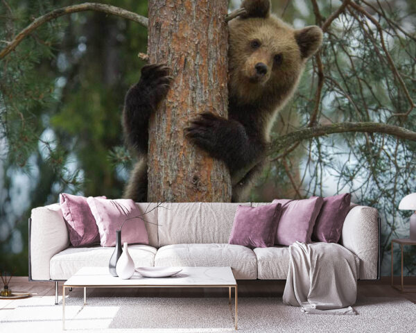 Bär klettert auf einen Baum Bär klettert auf einen Baum