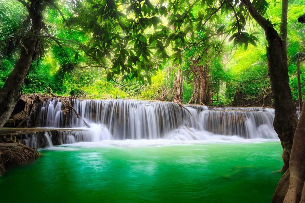 Wasserfall in einem Wald Wasserfall in einem Wald