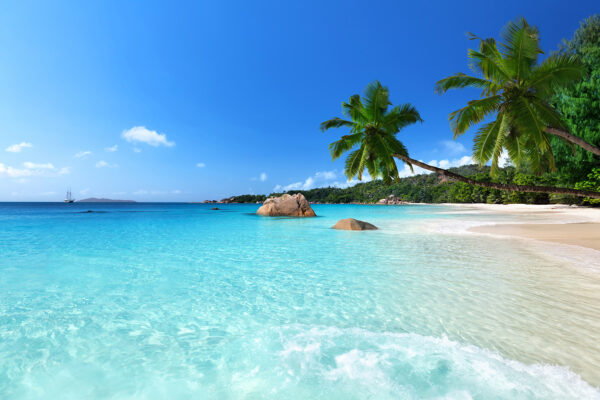 Strand mit Palmen und blauem Wasser Strand mit Palmen und blauem Wasser