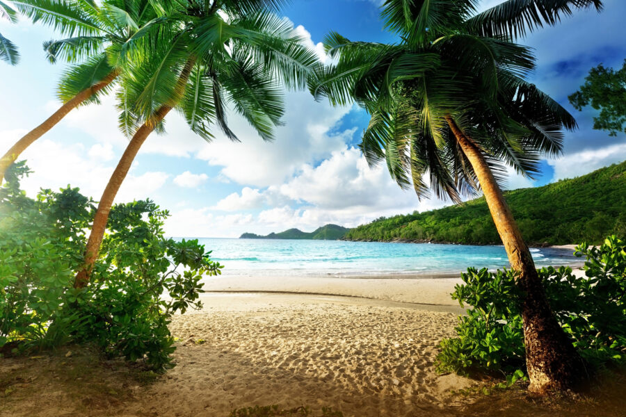 Strand mit Palmen und blauem Wasser Strand mit Palmen und blauem Wasser