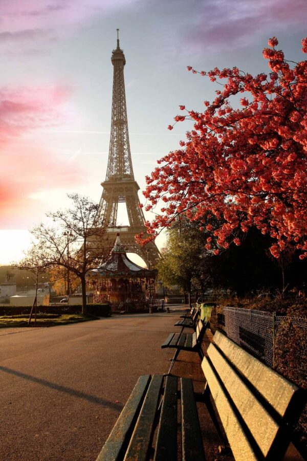 Park mit Bänken und einem Turm Park mit Bänken und einem Turm