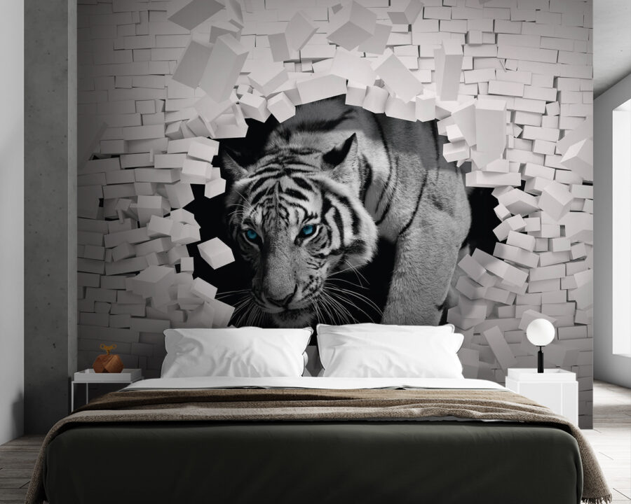 Tiger, der aus einer Wand herauskommt