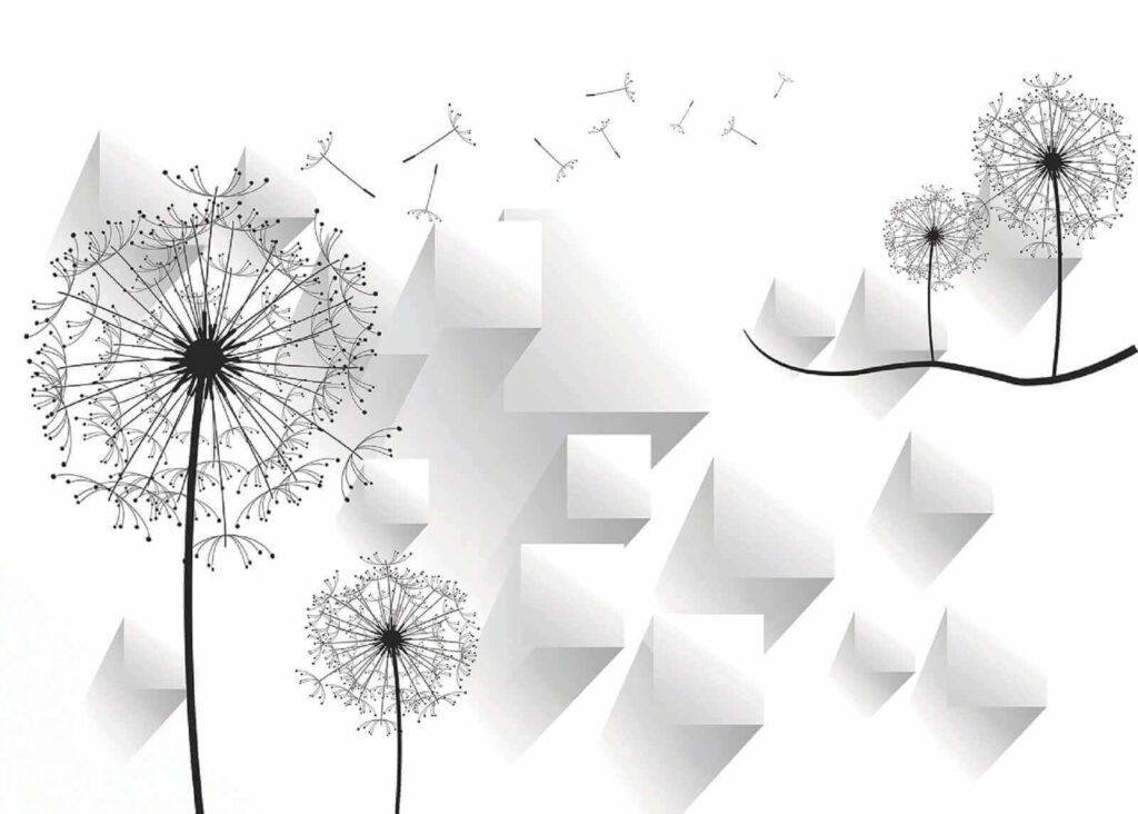 Löwenzahnblüten und ein weißer Hintergrund Löwenzahnblüten und ein weißer Hintergrund
