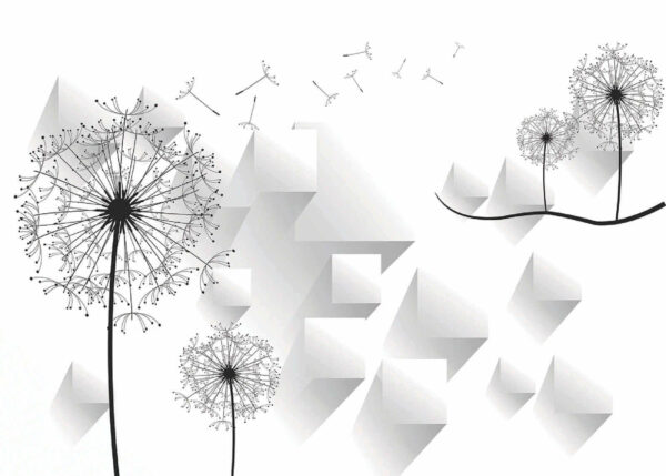 Löwenzahnblüten und ein weißer Hintergrund Löwenzahnblüten und ein weißer Hintergrund