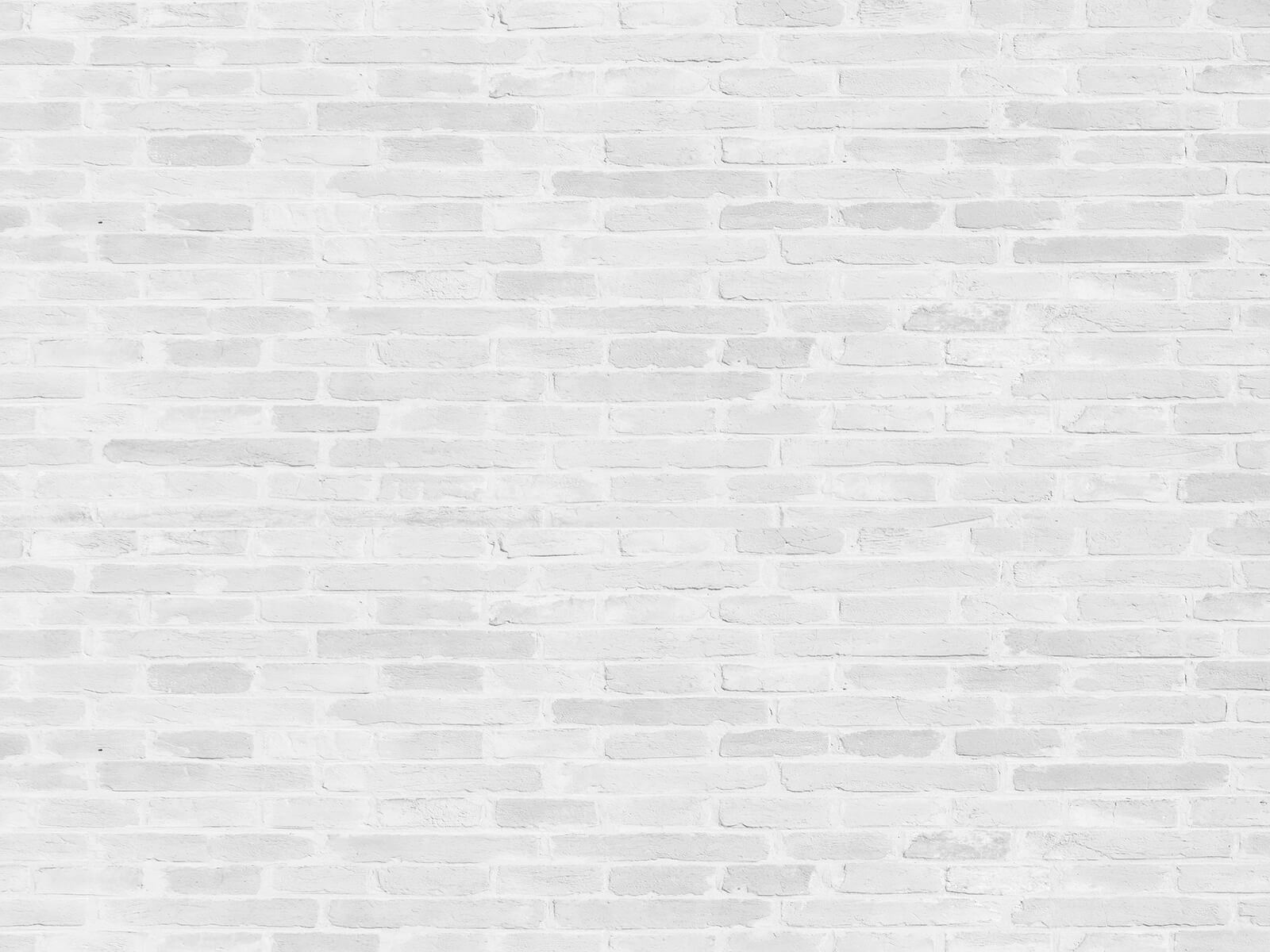 u53030p - Weiße Ziegelwand mit vielen rechteckigen Ziegeln - tegory
