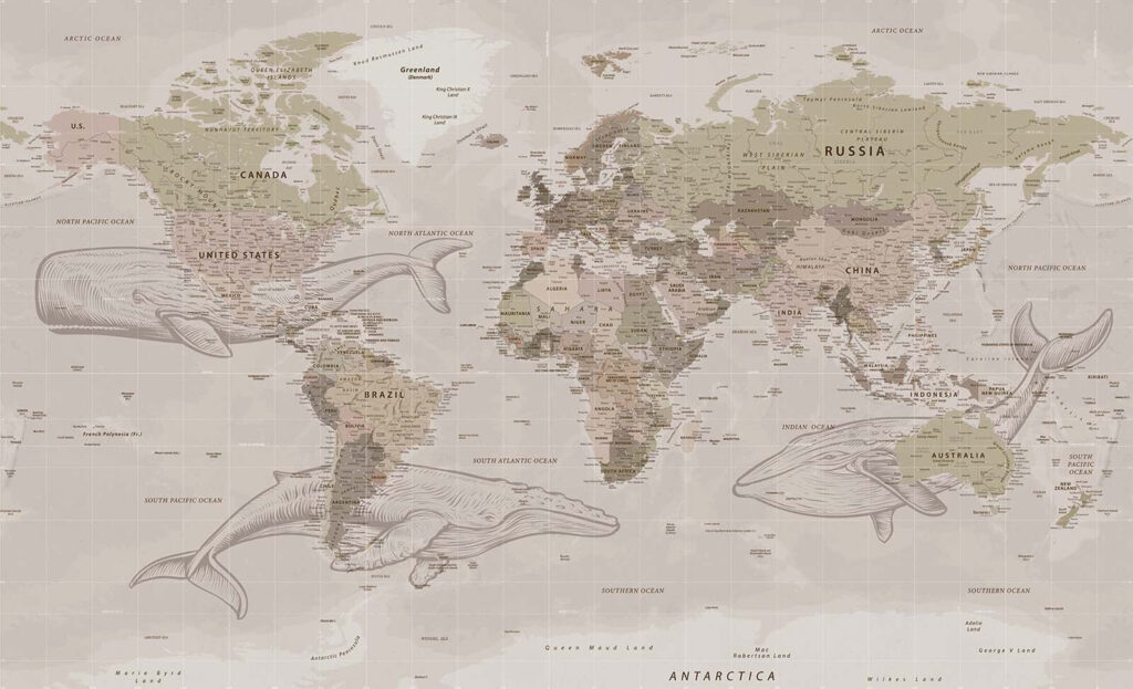 Karte der Welt mit Walen Karte der Welt mit Walen
