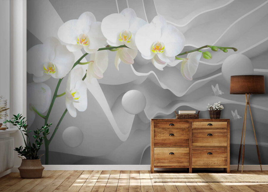 Weiße Orchideen und weiße Kugeln Weiße Orchideen und weiße Kugeln