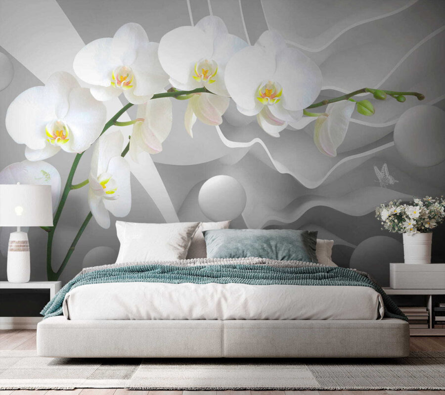 Weiße Orchideen und weiße Kugeln Weiße Orchideen und weiße Kugeln