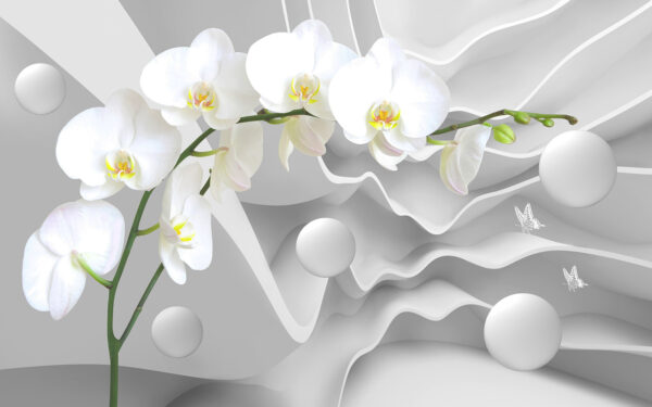 Weiße Orchideen und weiße Kugeln Weiße Orchideen und weiße Kugeln
