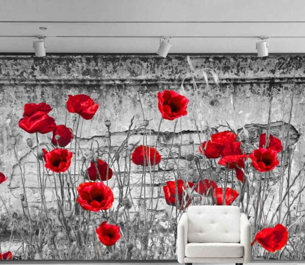 Rote Blumen auf einem Feld Rote Blumen auf einem Feld
