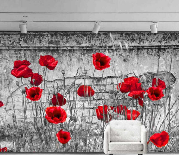 Rote Blumen auf einem Feld Rote Blumen auf einem Feld