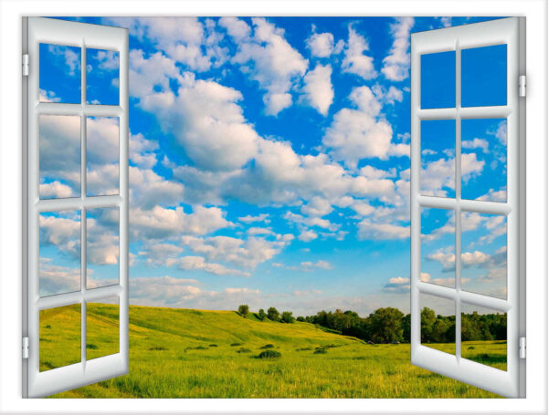Offenes Fenster mit Bäumen und Wiese Offenes Fenster mit Bäumen und Wiese