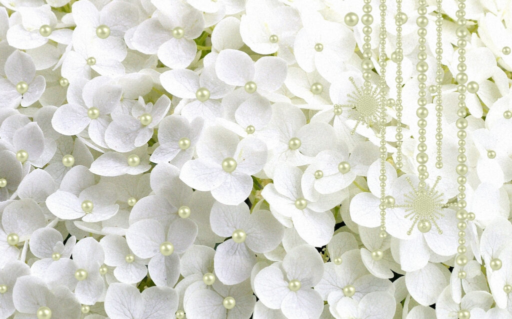 Gruppe von weißen Blumen Gruppe von weißen Blumen