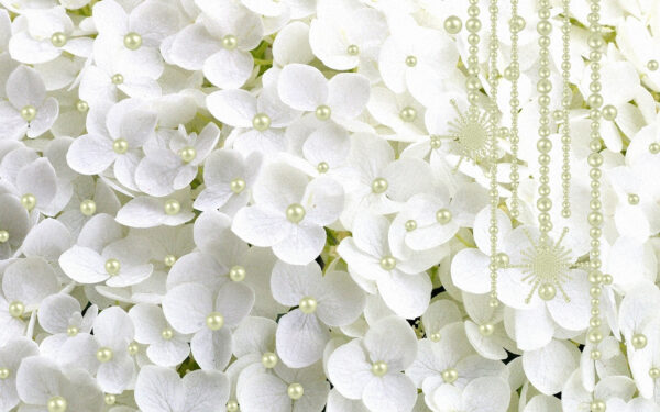 Gruppe von weißen Blumen Gruppe von weißen Blumen