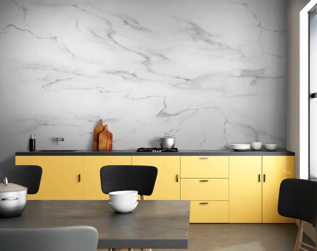 White marble with black veins White marble with black veins