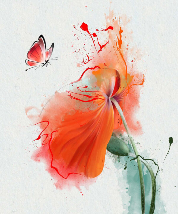 Schmetterling auf einer Blume Schmetterling auf einer Blume
