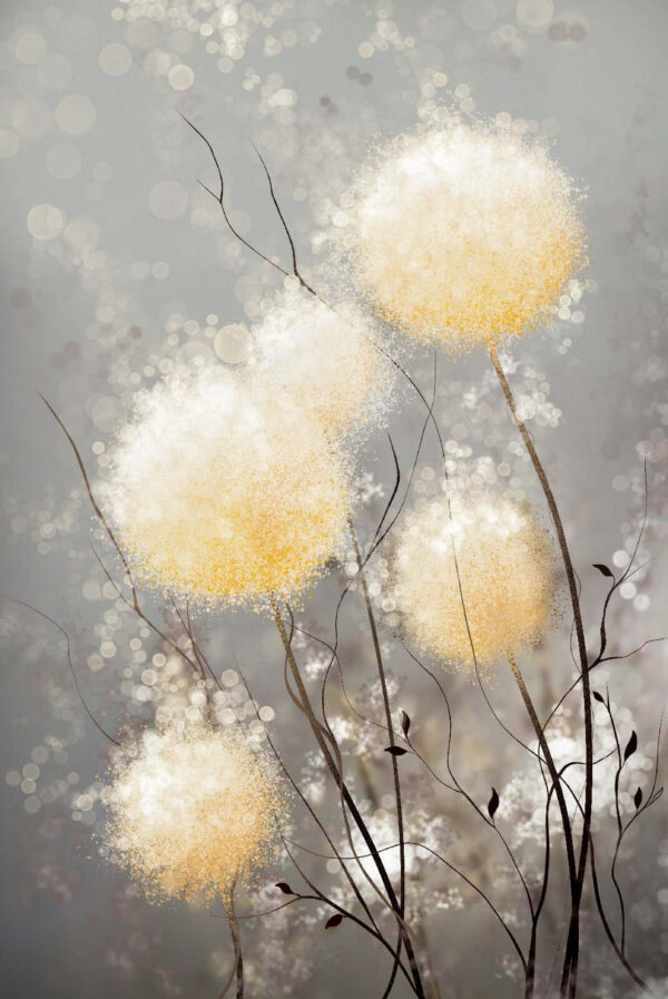 Gruppe von weißen und gelben Blumen Gruppe von weißen und gelben Blumen