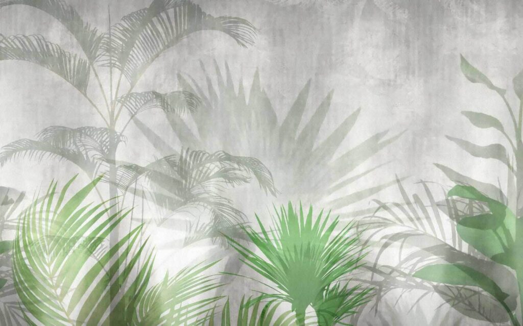 Schatten einer Palme Schatten einer Palme
