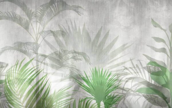 Schatten einer Palme Schatten einer Palme