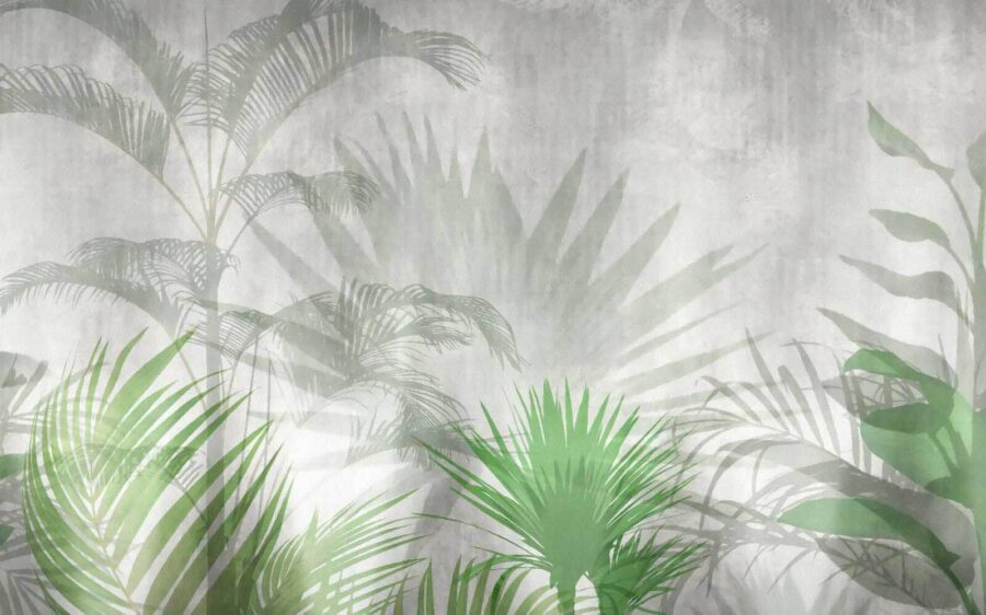 Schatten einer Palme