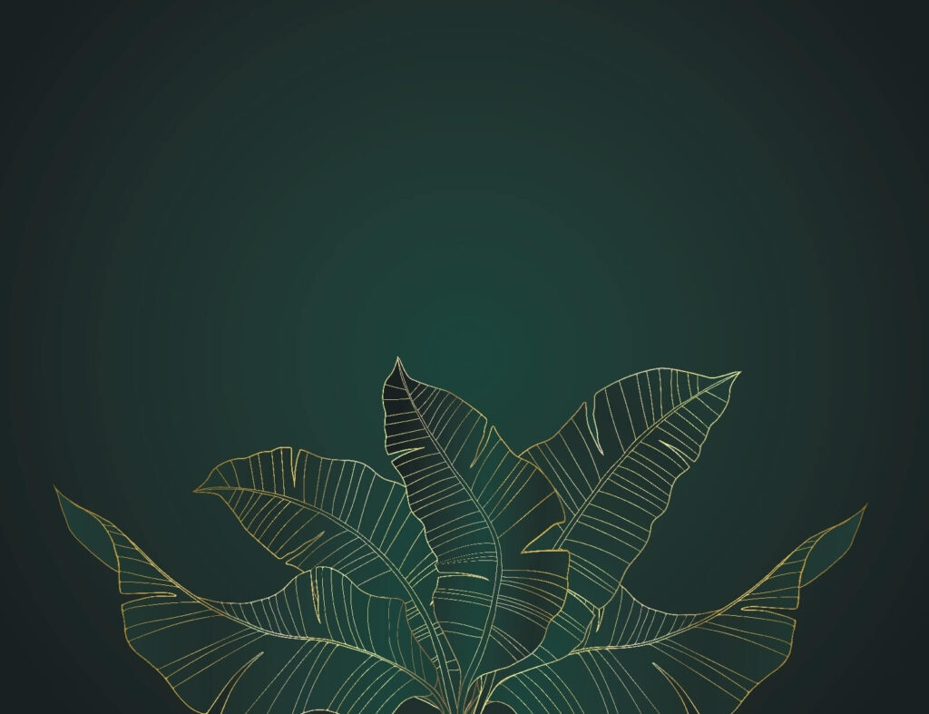 Elegante Blätter auf dunklem Hintergrund Elegante Blätter auf dunklem Hintergrund