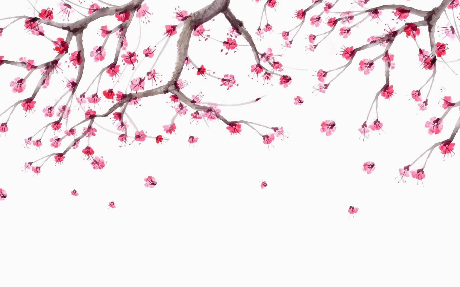 Baum mit rosa Blüten u28004p - Baum mit rosa Blüten - tegory