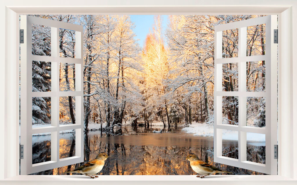 Fenster mit Vögeln, die aus einem See herausschauen Fenster mit Vögeln, die aus einem See herausschauen