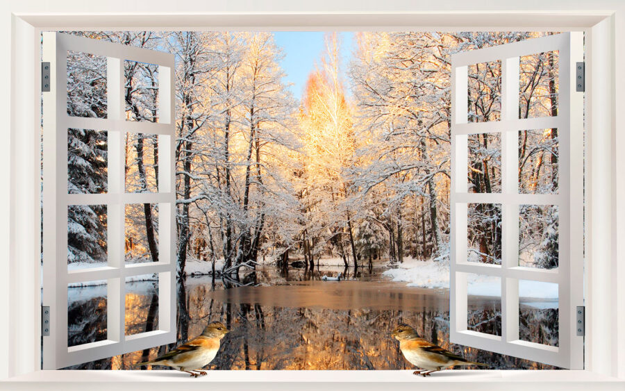 Fenster mit Vögeln, die aus einem See herausschauen