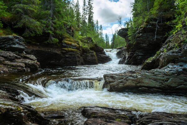 Fluss mit Felsen und Bäumen Fluss mit Felsen und Bäumen