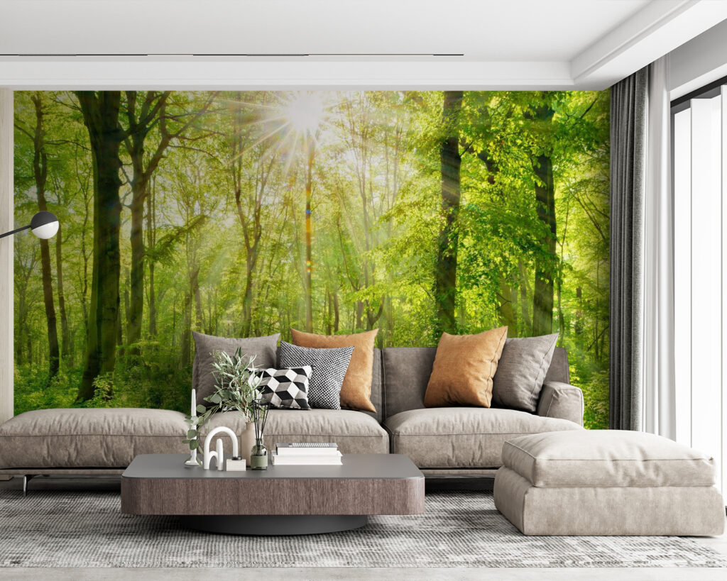 Path through a forest with trees and plants