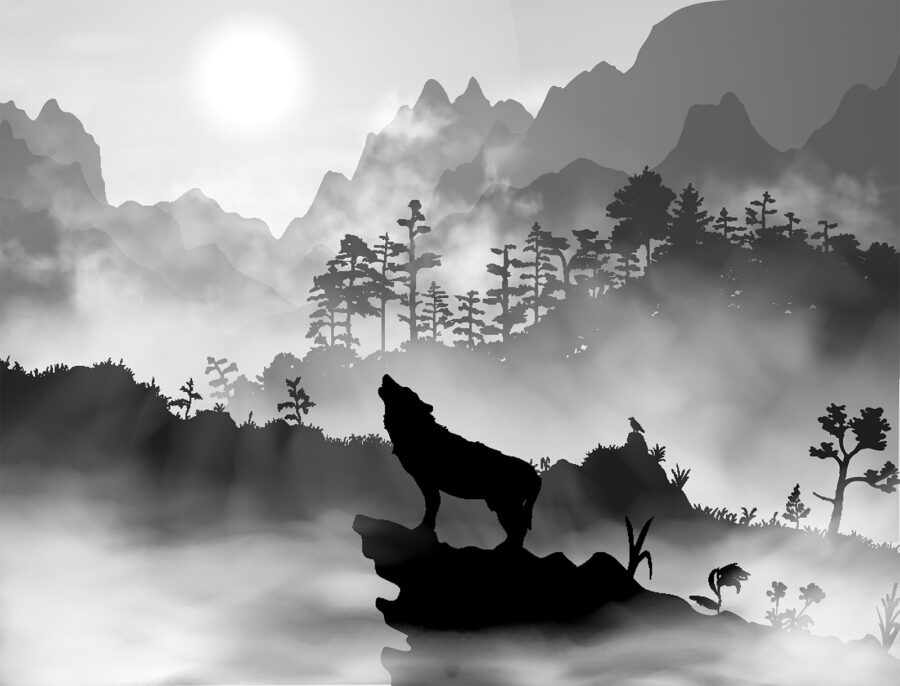 Wolf heult den Mond an