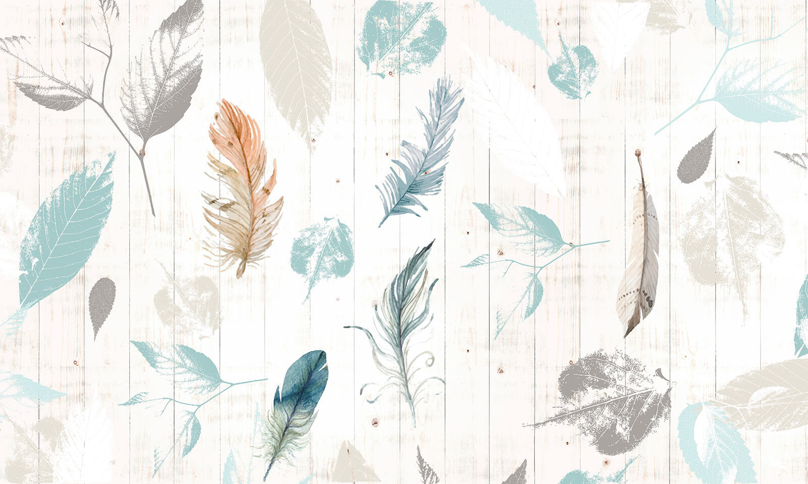 u21570p - Gruppe von Federn auf einer Holzoberfläche - tegory