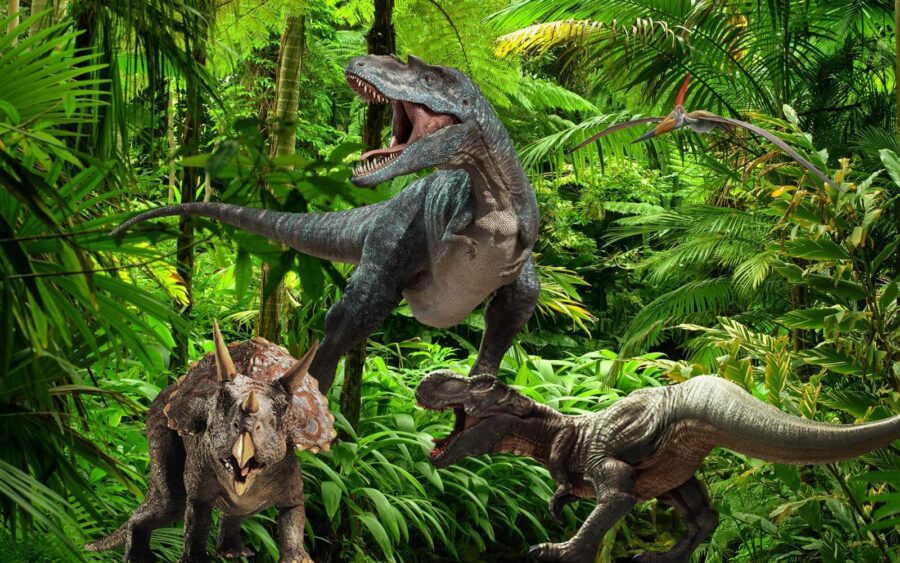 Gruppe von Dinosauriern in einem Wald u20726p 900x563 - Gruppe von Dinosauriern in einem Wald - tegory