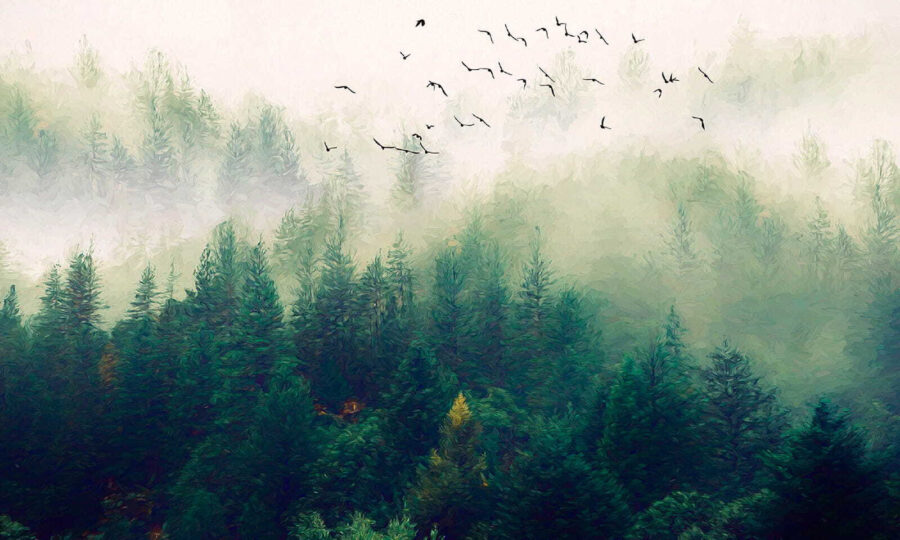 Vögel fliegen über einen Wald Vögel fliegen über einen Wald